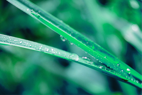 五行的性格 五行的性格