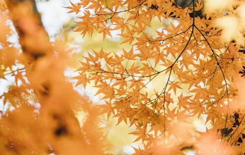 名字鑒定(五) 名字鑒定(五)